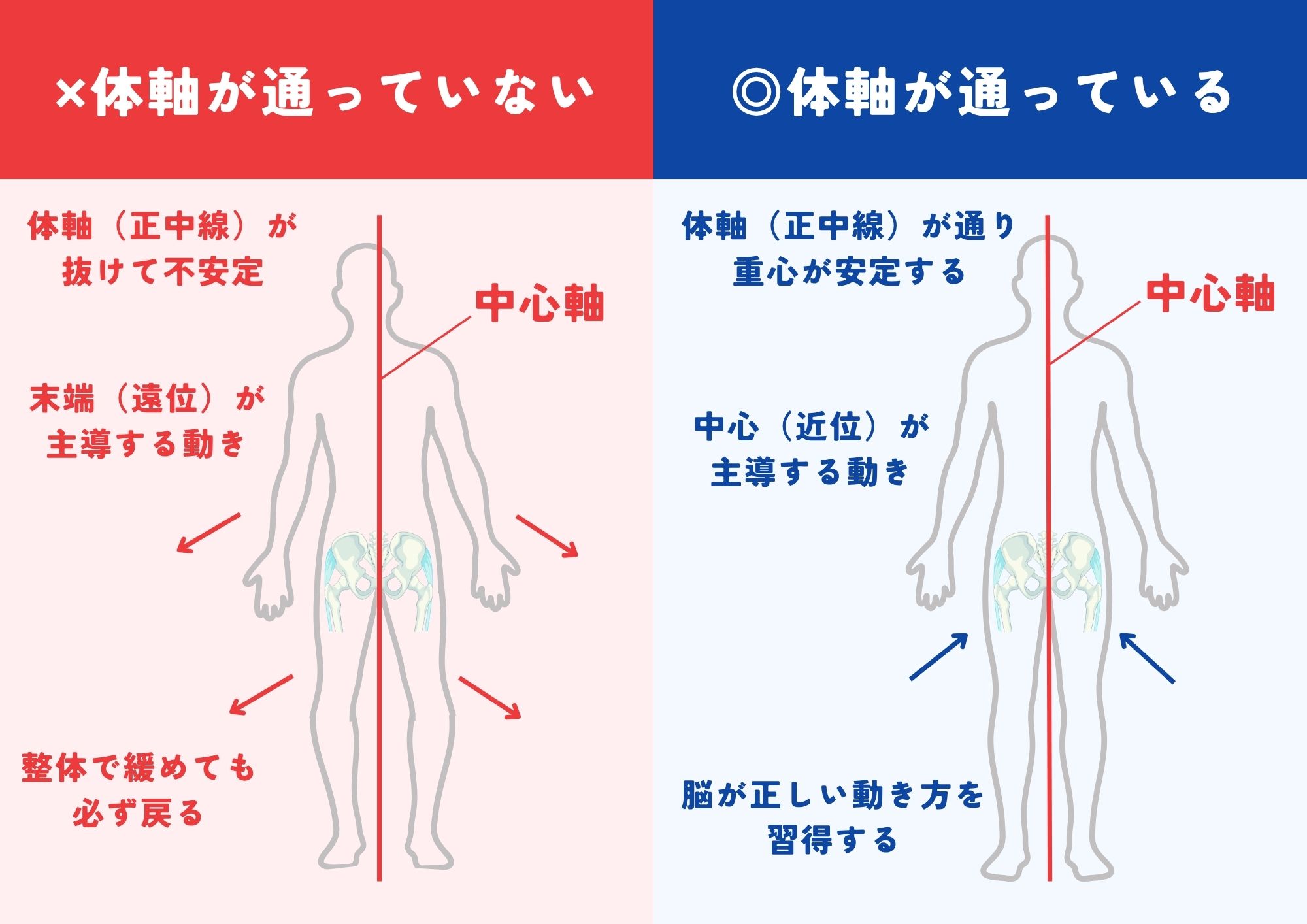 体軸が通っていないカラダと、体軸が通っているカラダの比較